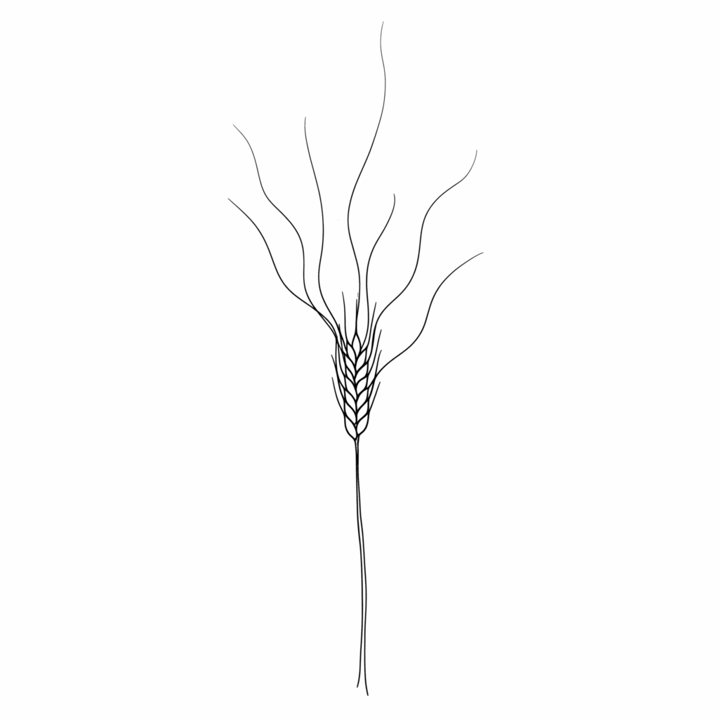 Beyond the Billions: America’s Hidden Hunger and the Need for a New Crystal Ball